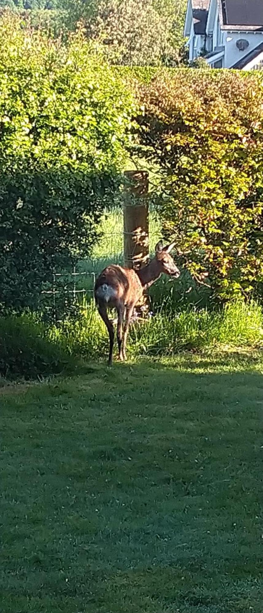 Aquila Retreats Bed and Breakfast Comrie Eksteriør billede